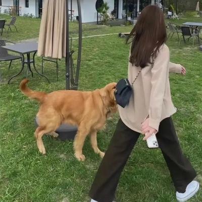 枯叶